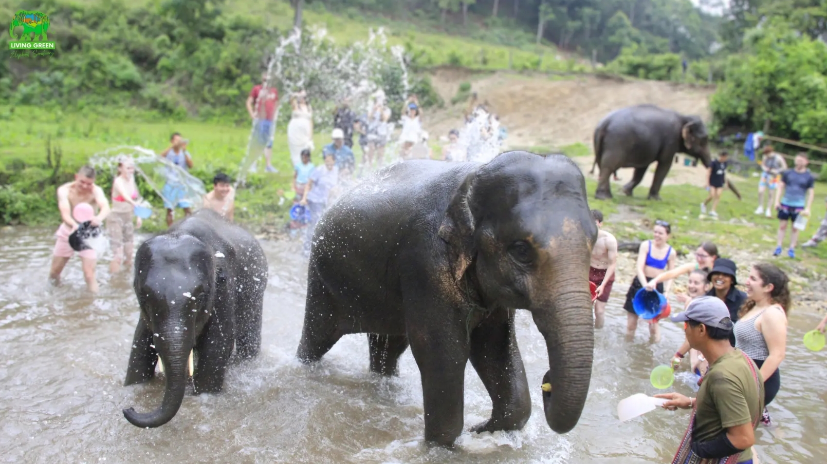 Living Green Elephant Sanctuary